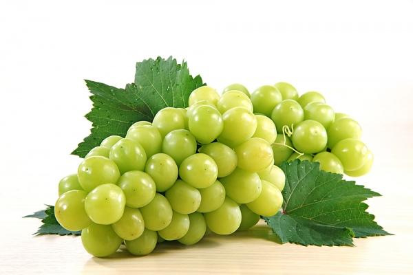 trị da dầu với nho tươi
