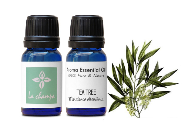 tri mun, mun trung ca