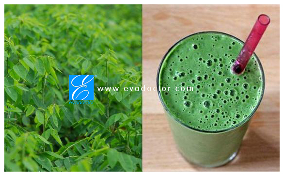 Rau ngót chữa nám, tàn nhang hiệu quả Rau ngót chữa nám, tàn nhang hiệu quả