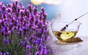 Cách trị mụn với nguyên liệu từ thiên nhiên