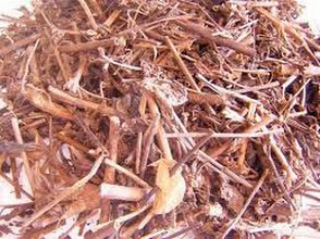 Cách trị mụn trứng cá với thuốc nam