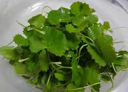 Trị mụn thâm hiệu quả, Trị mụn thâm hiệu quả Trị mụn thâm hiệu quả