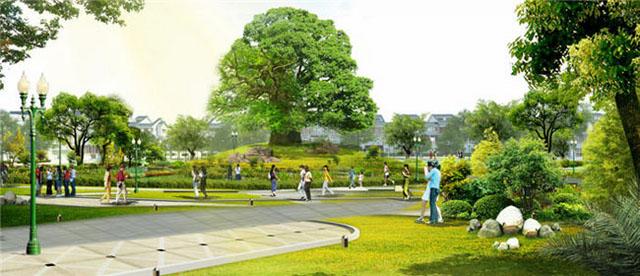 không khí môi trường trong lành