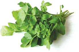 trị nám với rau cải xoong