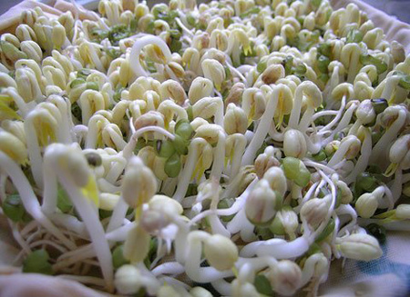 Làm đẹp với giá đỗ và mật ong