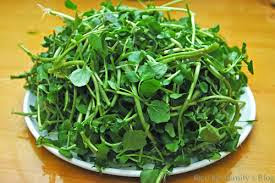 Trị nám, tàn nhang