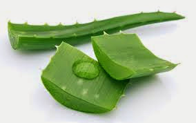 Cách trị mụn với nguyên liệu từ thiên nhiên