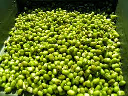 Cách trị mụn với nguyên liệu từ thiên nhiên