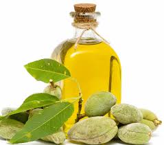 dai mi, dai mi tu nhien