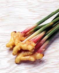 Trị hôi nách với gừng tri hoi nach, ngua hoi nach